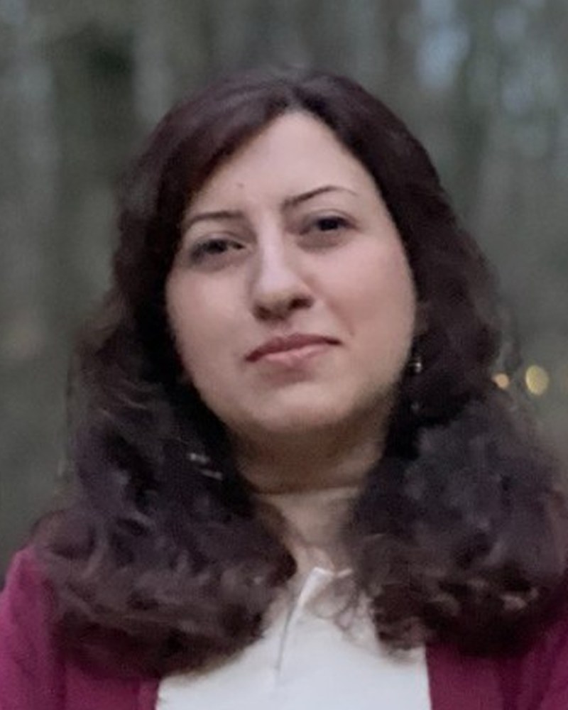Naghmeh Rezaie