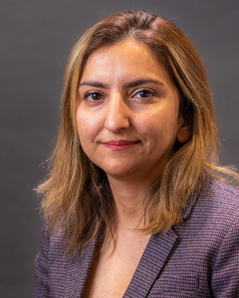 Simin Rahighi