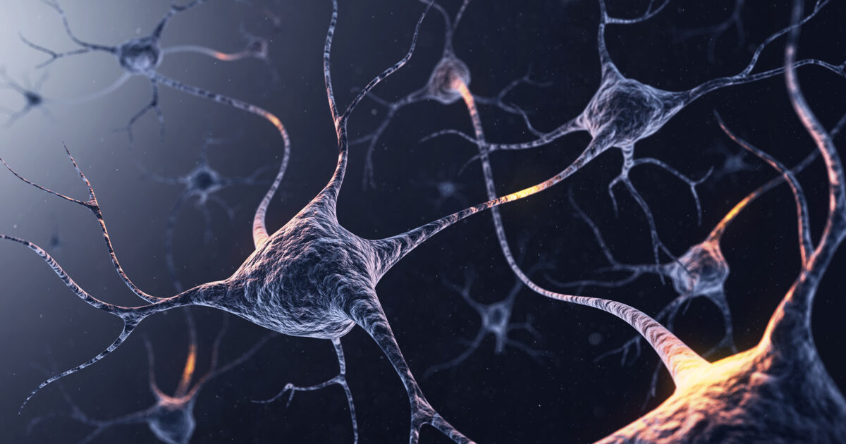 Neural networks and awareness
