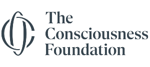 The Consciousness Foundation